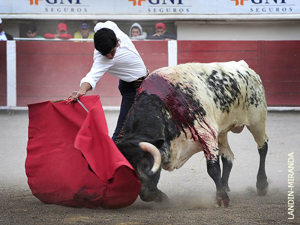 Preparado para la borla