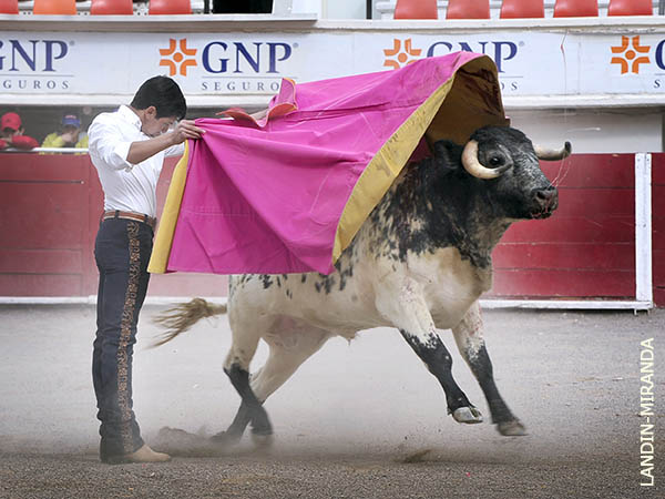 Un ejemplar a puerta cerrada