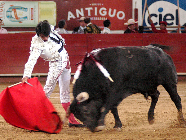 Asentado en los riones