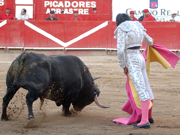 Clase y bravura en la embestida