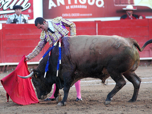 Consintiendo al castao