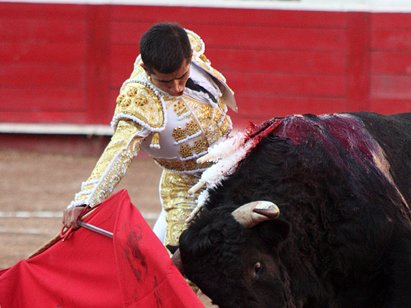 Fundidos toro y torero