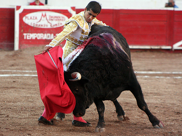 El torero en redondo