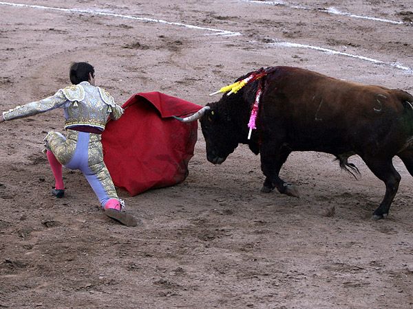 Rodilla en tierra