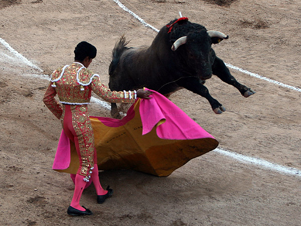 Garibay, de capa