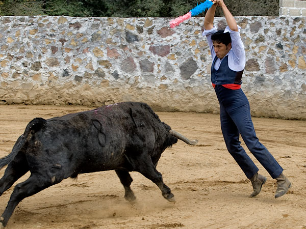 Cuadrando en la cara del toro