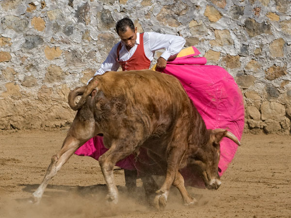 Jorge Lpez por chicuelinas