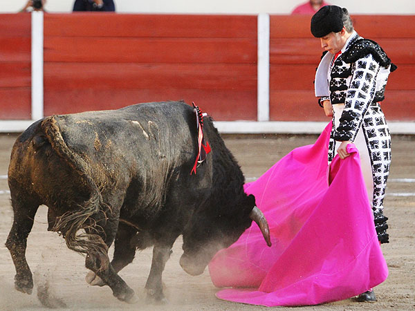 Gran Inicio con Piedras Negras