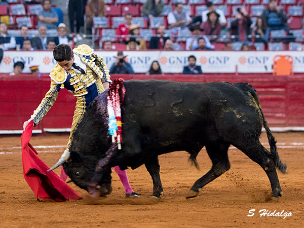 Templando a su primero