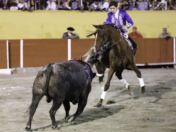 Lucida faena a su segundo