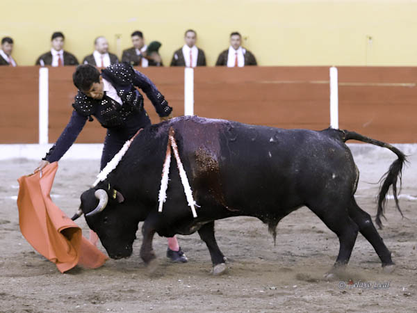 Acompaando con la voz