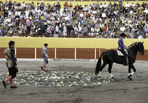 Pasello de feria