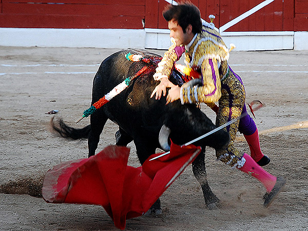 El momento de la cornada