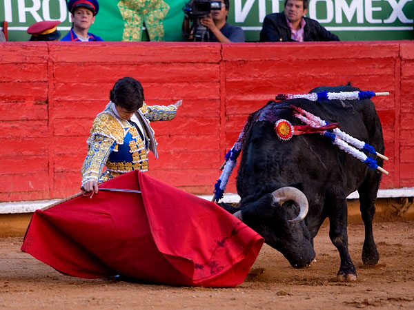 Toreando de hinojos