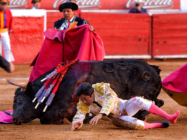 Terminaron los dos en el suelo