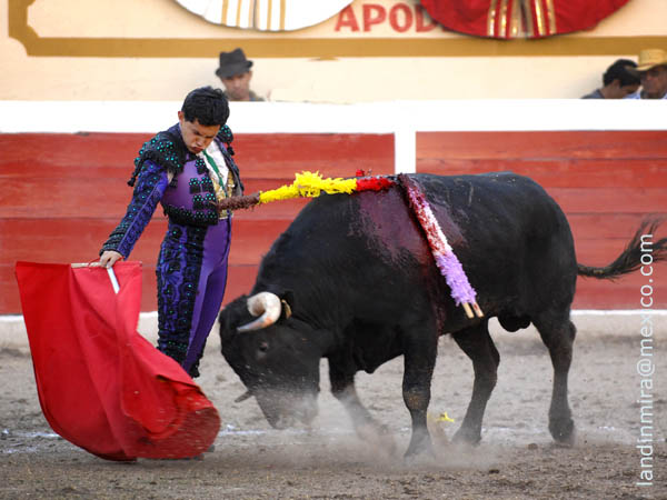 La verticalidad de Montes