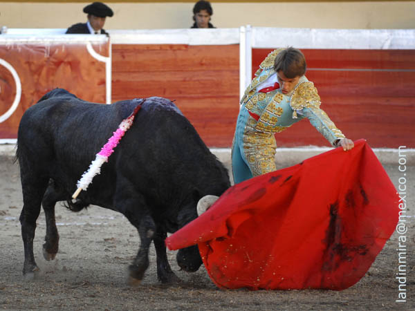 Jaleado en los naturales