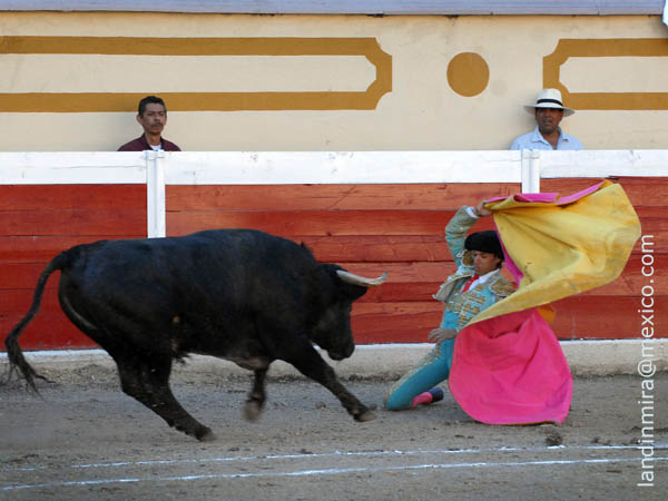 Barba, buscando el triunfo