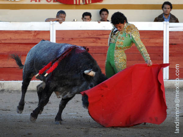 Tauromaquia que evoluciona