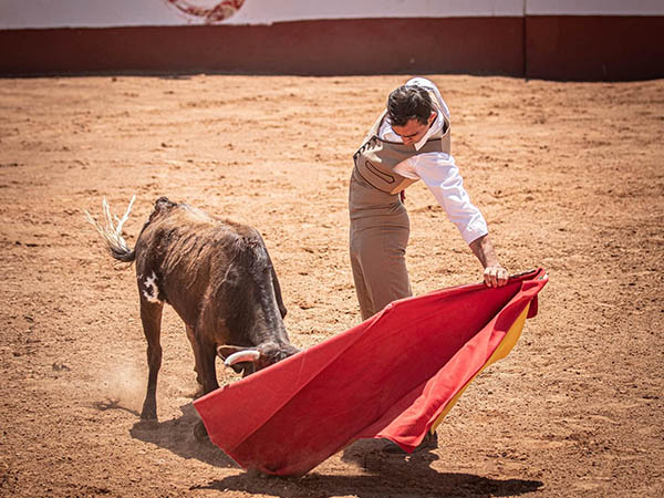 Sentimiento al natural