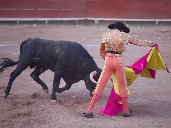 Esperado debut de Carlos