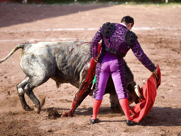 Buenas maneras de Guillermo