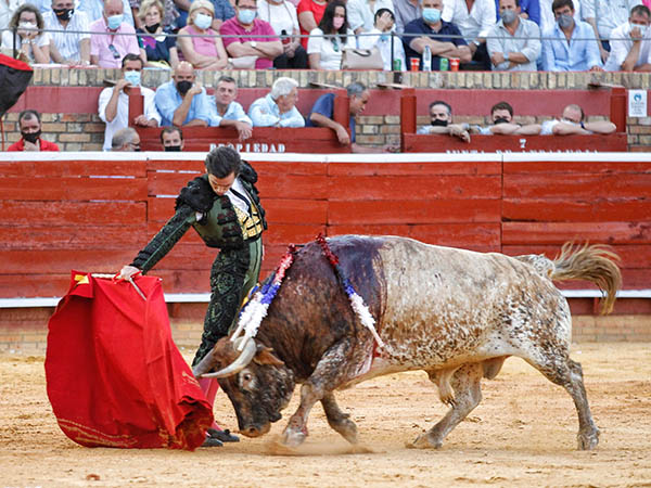 Fijo en la tela