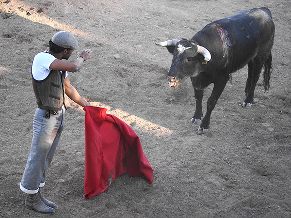 Simulando la suerte de matar