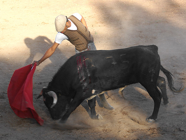 Asentado sobre la arena