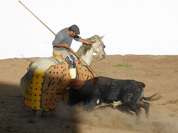 El picador Csar Morales