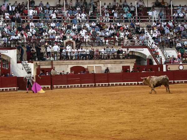 De regreso a las corraletas