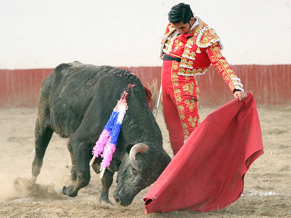 Apuntando el toreo bueno