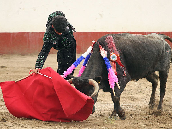 Una tarde en torero