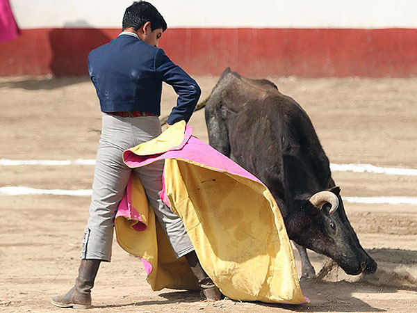 El becerrista Roberto Gonzlez