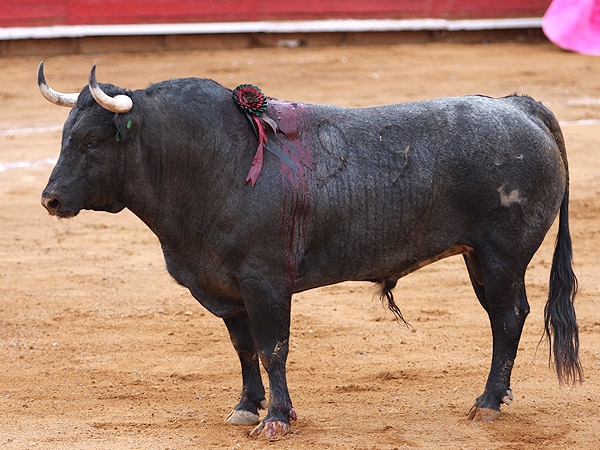 El ms hecho del encierro