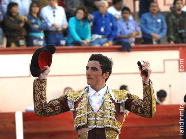 Solitaria oreja en el festejo