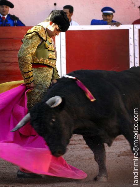 Abre el festejo Labastida