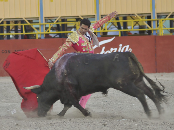 El pase de las flores