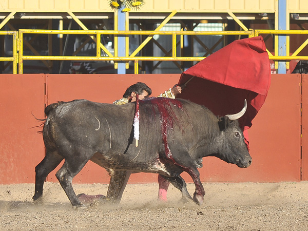 Pase rodilla en tierra