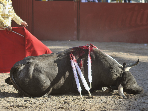 Rodaba por la arena