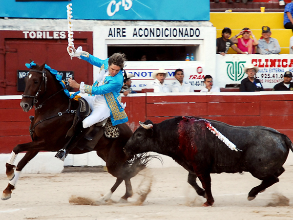 Templando la embestida