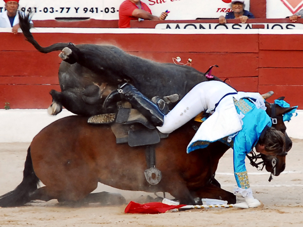 El toro se fue de lado