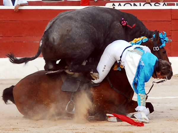 Pas por encima del caballo