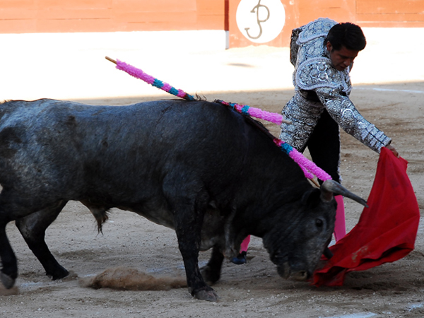 El inicio del pase de pecho