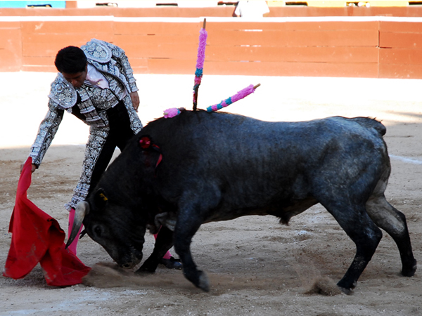 Embebido en la muleta