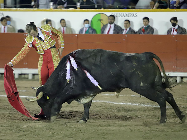 Pulsando la embestida