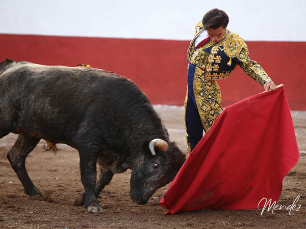 La zurda de Sainz