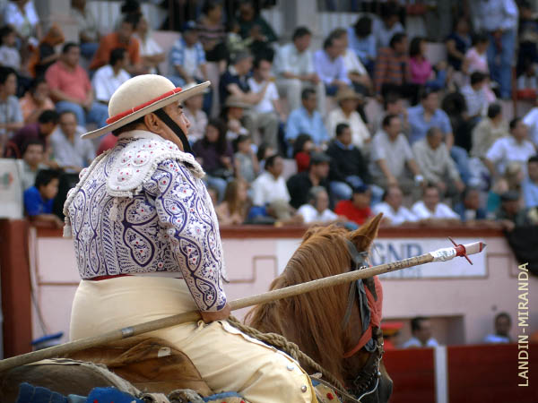 Seoro de torero