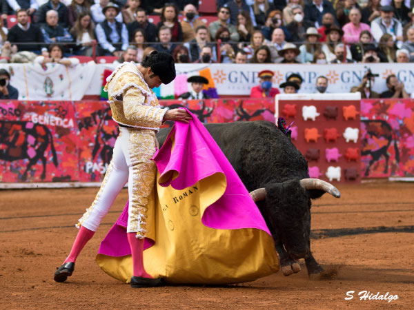 La nueva generacin de toreros