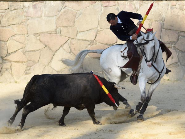 Grata estancia en Mxico